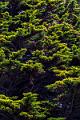 2019_09_12_Bretagne (0020)